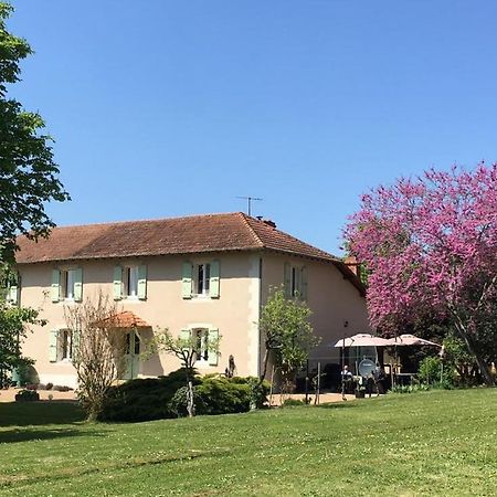 Domaine Serrot Saint-Elix-Theux Extérieur photo
